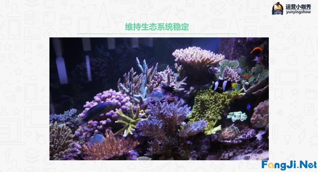 如何用流量思维来做产品运营？