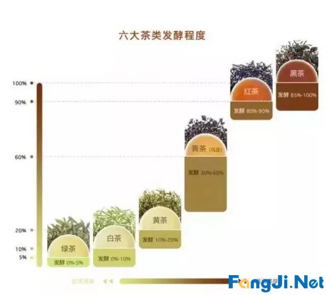 喝茶要知道的事