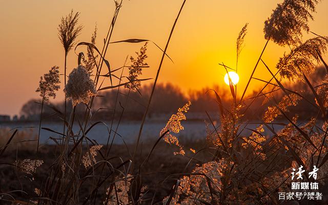 0823dd54564e925847a775df0f286451cdbf4ea0.jpeg@f_auto 0823dd54564e925847a775df0f286451cdbf4ea0.jpeg@f_auto