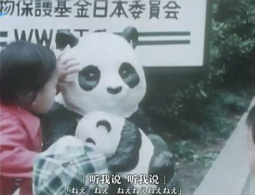 北京的宾馆几乎腾空，才住下请来的这批日本年轻人