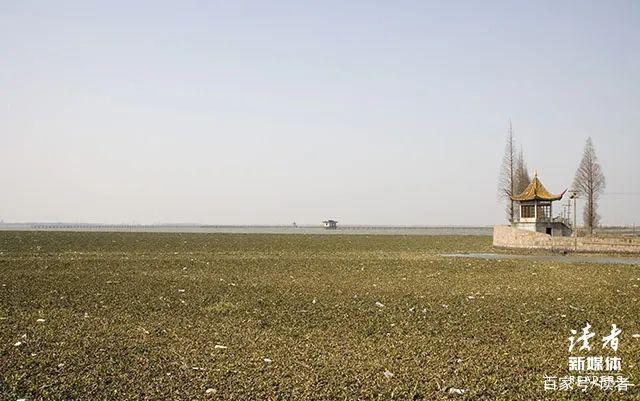 3ac79f3df8dcd1002a162e16e921f219b8122fb7.jpeg@f_auto 3ac79f3df8dcd1002a162e16e921f219b8122fb7.jpeg@f_auto