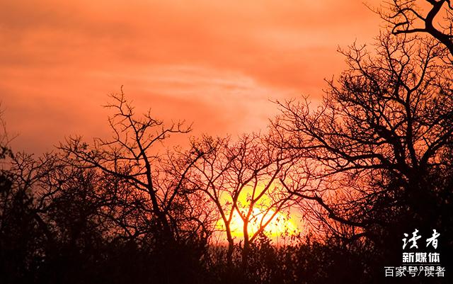 一个农村大学生的独白：我们为什么大多都混得不好？