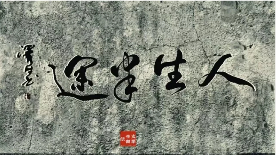 202502161739716241573197 202502161739716241573197