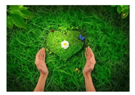 李子勋: 心理咨询能做的和不能做的