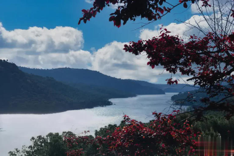 聪明人的选择：少较劲，多做事