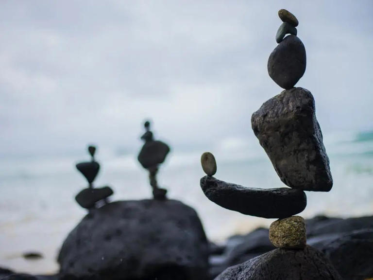 生活没有平衡，只有制衡