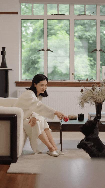 v2-09c8a61f20511d84a36f30e3265b41f9_b