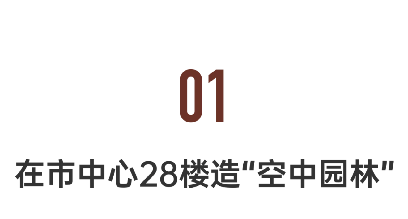 v2-3b5b3e3feb058b5ec6bf644bd3f8200b_1440w v2-3b5b3e3feb058b5ec6bf644bd3f8200b_1440w