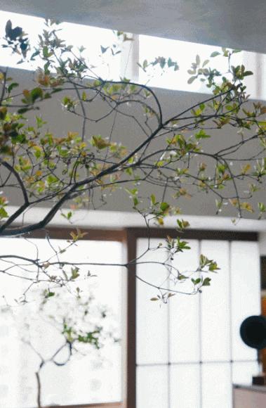 v2-59e1ad0f979cab1715ac5ad3156e428d_b