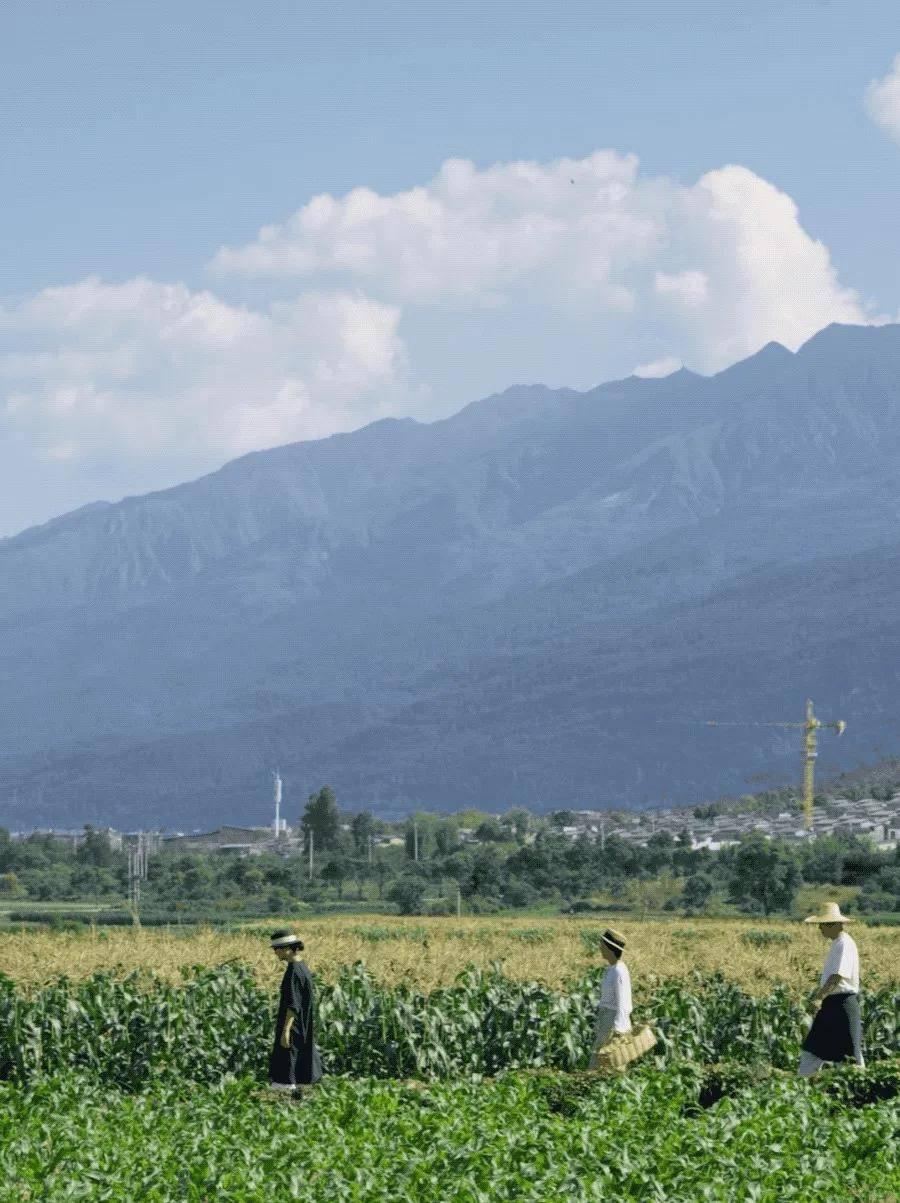 v2-60b2e6ebb1a60f26a54e6cc68e092682_1440w v2-60b2e6ebb1a60f26a54e6cc68e092682_1440w