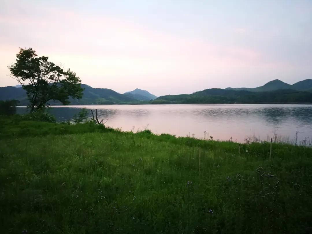 v2-7f43ccbdbb57a46a36d88a427b893421_1440w