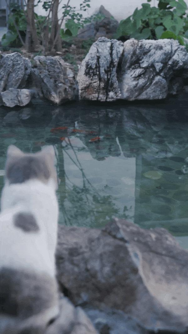 v2-957817a62a1dcd772879cdf03dd34298_b