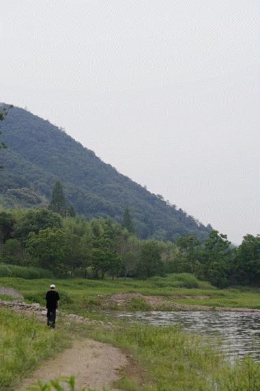 v2-960f9c15da5f17347fe454948b46e67b_b