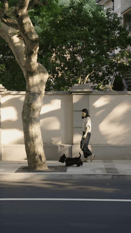 v2-f01736d6da1e566fa1b82f73962d78e4_b