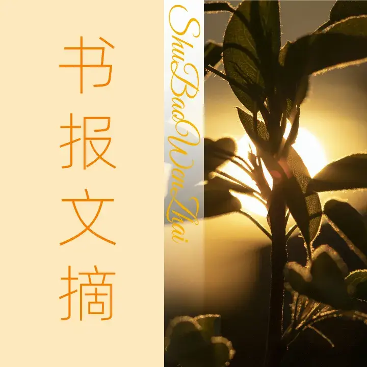 那些人生低谷教会我的事