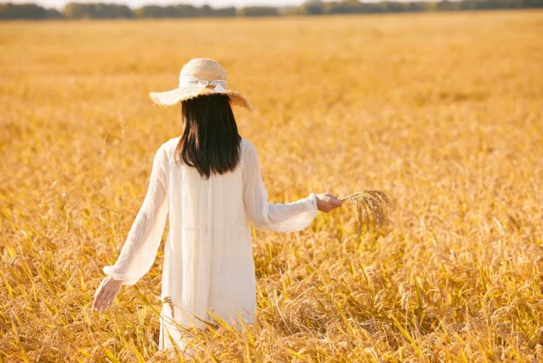 人到中年：无爱，无话，无性