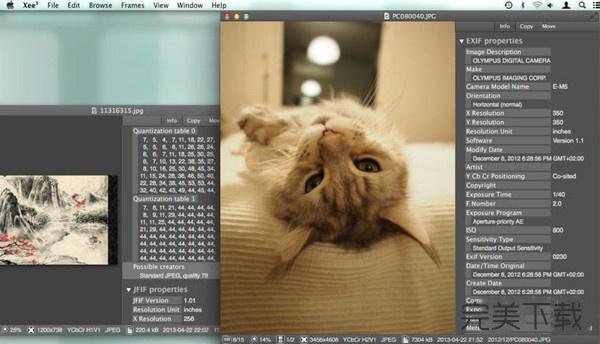 cc44aef362858bb1146370728f9e7a45