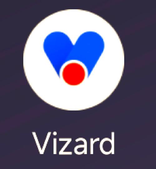 Vizard录屏