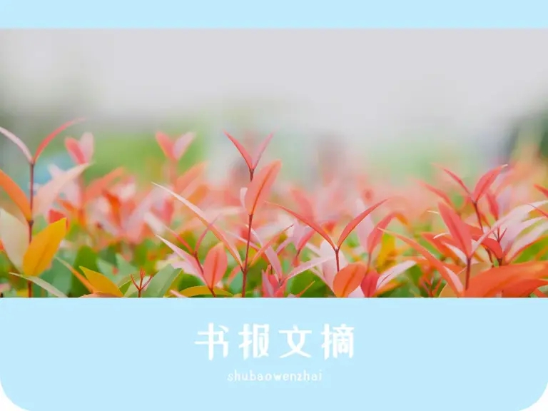 人生建议：不要用力走向任何人